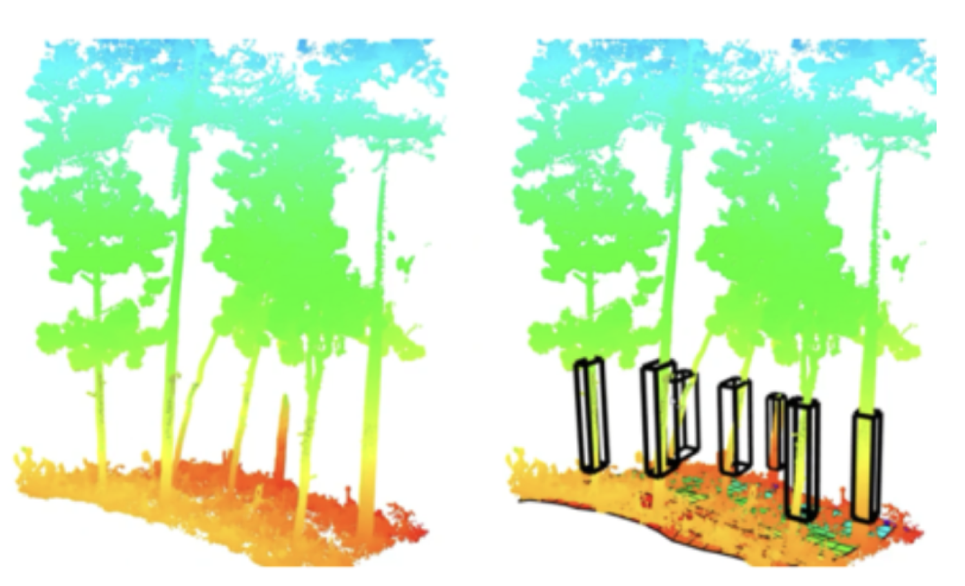 Forest Carbon Estimation (Graduation Project)